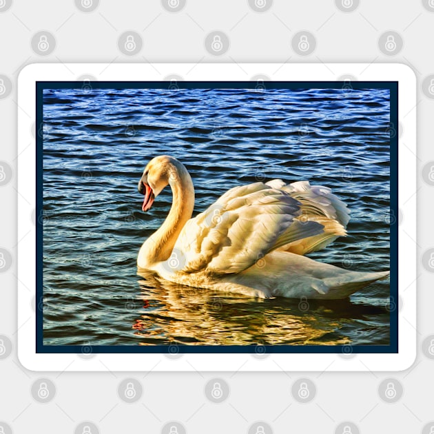 Swan wading on water in sunshine Magnet by Blue Butterfly Designs 